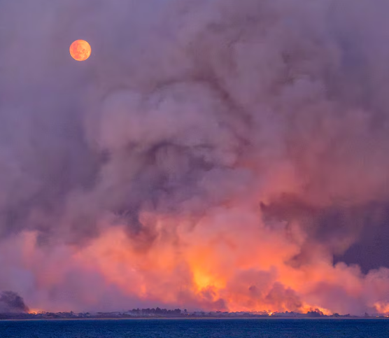 pm-jepang-membentuk-satgas-untuk-nilai-kerusakan-gempa